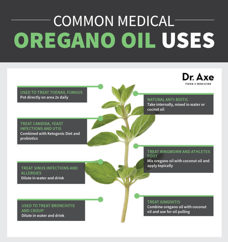 oregano-oil-benefits-natural-antibiotic-steemit